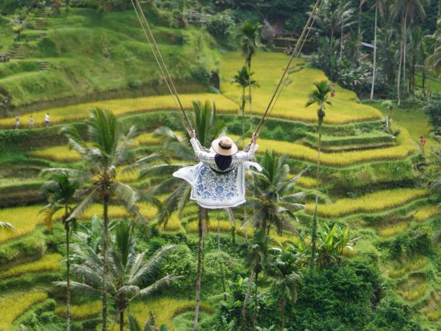 Woman seen from behind on a swing above Tegallalang rice terraces and palms, Ubud
